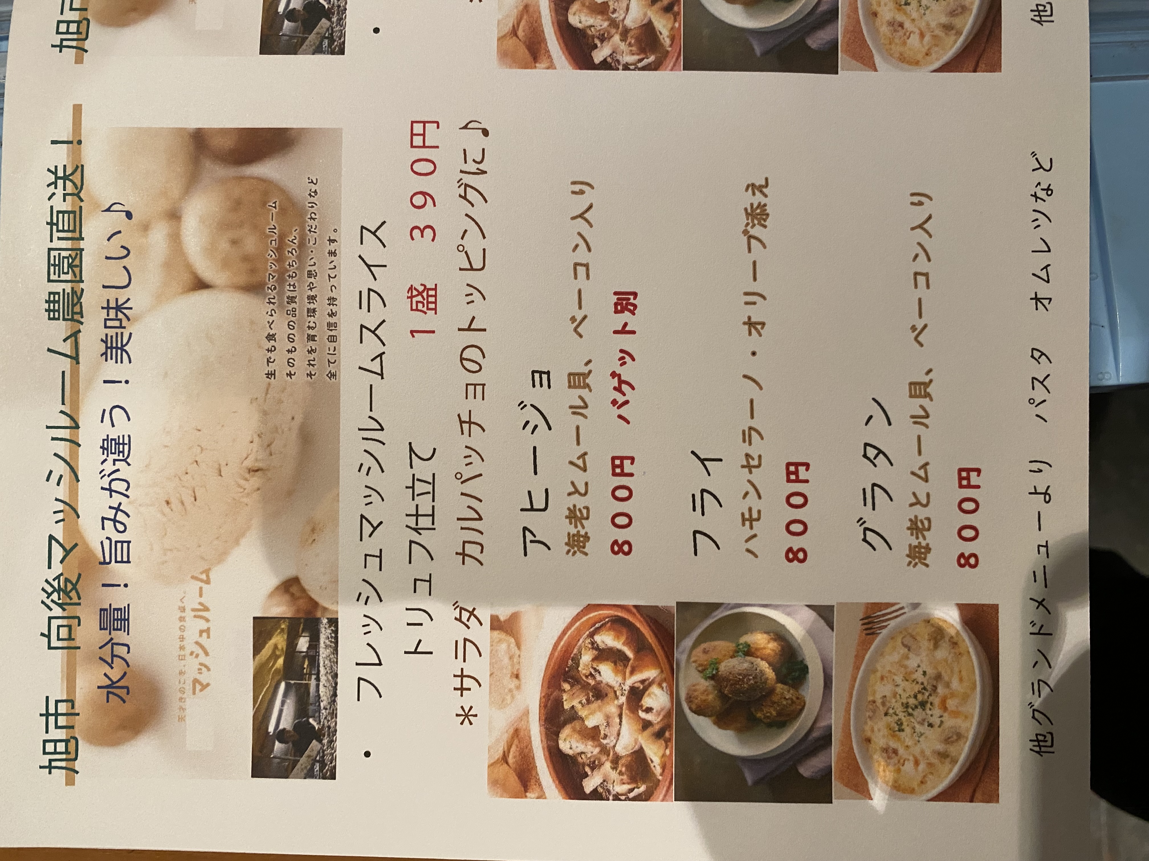 マッシュルーム農園から直送